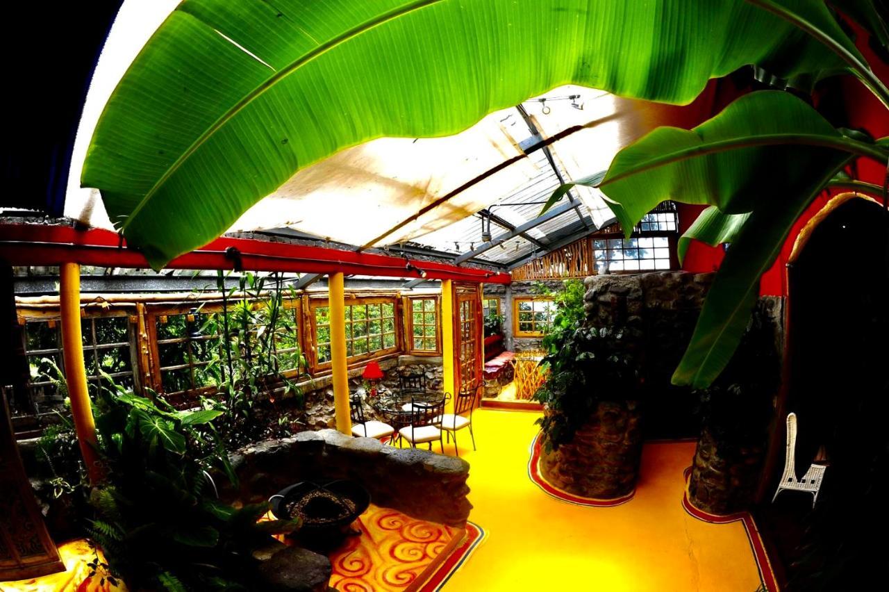 El Refugio La Brisa Del Diablo Bed and Breakfast Valle Hornito Εξωτερικό φωτογραφία