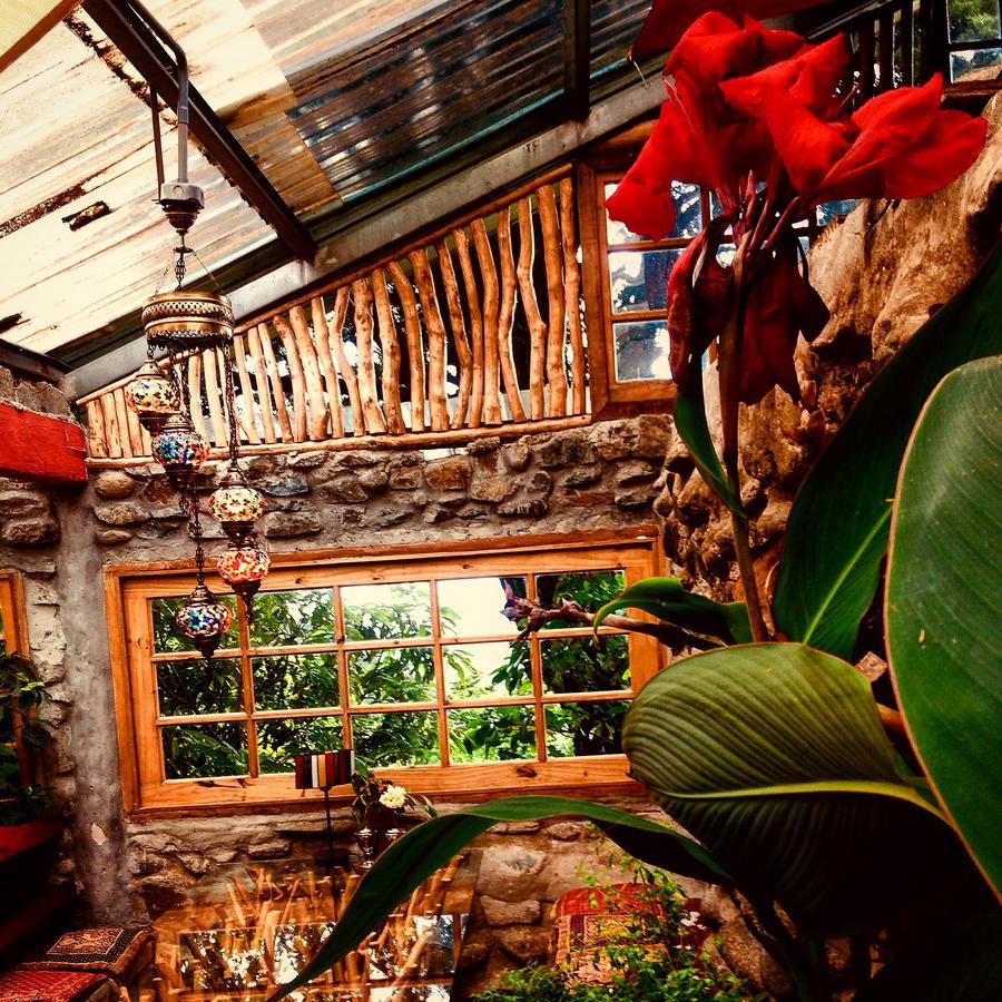 El Refugio La Brisa Del Diablo Bed and Breakfast Valle Hornito Εξωτερικό φωτογραφία